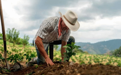 🌿 El campesinado: guardianes de la tierra y el alimento
