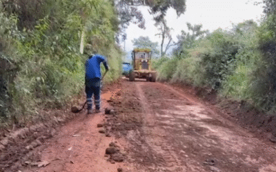 Más de 370 emergencias atendidas en Antioquia por temporada de lluvias: DAGRAN refuerza operativos