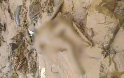 Emergencia en Santo Domingo: reportan los primeros fallecidos por deslizamiento en Granizal