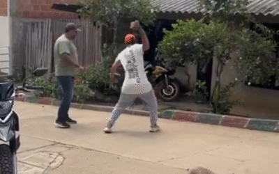 Indignación por brutal agresión a un perro en La Dagua: hombre lo golpea con una piedra