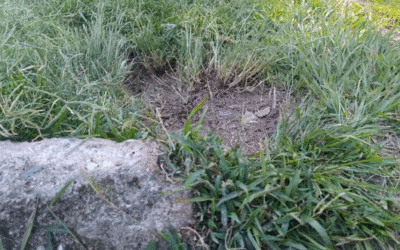 Hombre resulta gravemente herido tras pisar pólvora enterrada en zona verde de Medellín