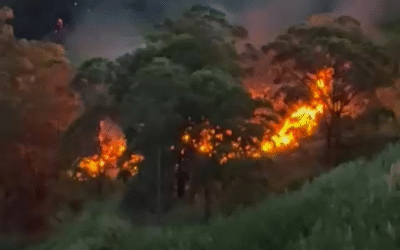 Emergencia por incendio en zona verde entre Rodeo Alto e Itagüí