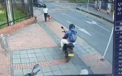 En moto y sin miedo: así robó un celular en pleno andén del sur de Bogotá