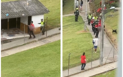 Tragedia en Manizales: niña de 3 años murió tras presunto ataque de su madre