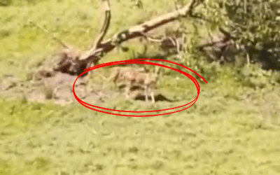 La naturaleza nos regala un momento mágico