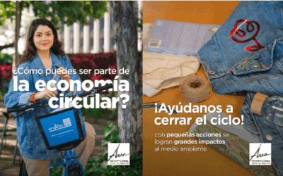 Economía circular: pequeñas acciones que generan grandes cambios