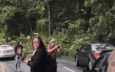 Variante de Caldas estuvo cerrada por caída de árbol y postes de energía