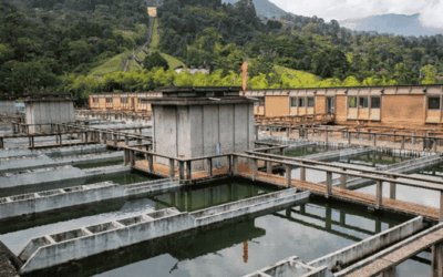 Corte de agua este fin de semana en el Valle de Aburrá: modernización de planta y plan de contingencia con carrotanques