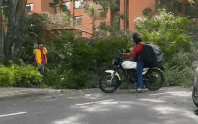 Árbol cayó en la vía de la Inferior, en El Poblado