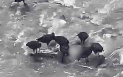 Hallan cuerpo sin vida en el río a la altura de Tricentenario