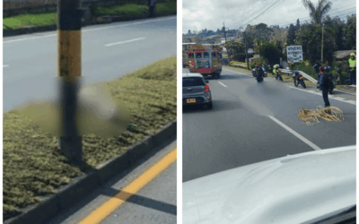 Accidente en la autopista Medellín–Bogotá deja un motociclista lesionado y un canino muerto