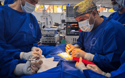 Zorro perro atropellado recibe cirugía y se recupera en el CAVR