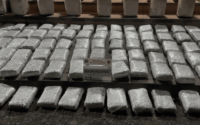 Incautan más de media tonelada de marihuana en Bello