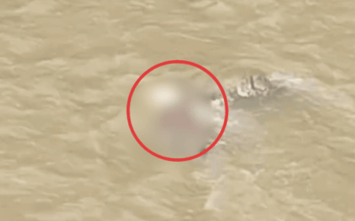 Hallan un cuerpo sin vida en el río Medellín a la altura del puente de Barranquilla