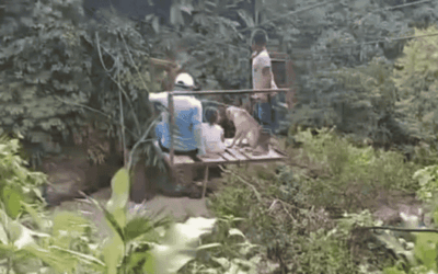 Tragedia en Dabeiba: niño de 9 años cayó a un río mientras cruzaba en garrucha