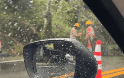 Árbol cayó sobre la vía hacia El Retiro