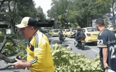 Camión derribó un árbol en medio del bloqueo de taxistas y empeoró la congestión