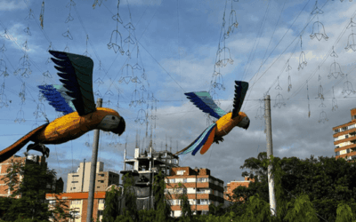 ¡La magia de los Alumbrados Navideños de Medellín comienza a brillar!