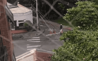 Emergencia por enjambre de abejas en el barrio Manila, El Poblado