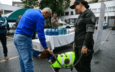 Gobernación de Antioquia refuerza la protección animal con entrega de kits veterinarios