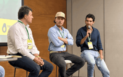 RFT Holding: la alianza que está revolucionando el aguacate Hass en Colombia