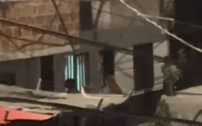 Caso de intolerancia entre vecinos terminó en disturbio en Manrique