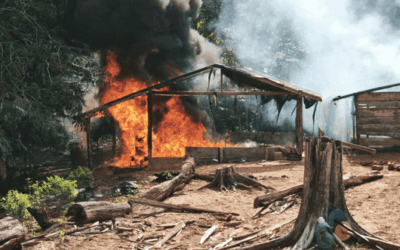 Duro golpe al Clan del Golfo en el Chocó