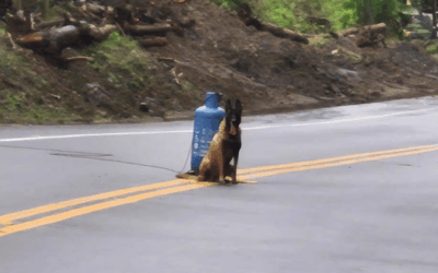Detonación controlada de cilindro explosivo evita una emergencia en la vía Dabeiba–Mutatá