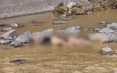 Hallan cuerpo sin vida en el río Medellín, a la altura de Zamora
