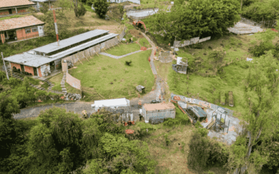 Medellín inició la construcción del Recreo Deportivo de Altavista, el segundo de siete complejos que tendrá la ciudad