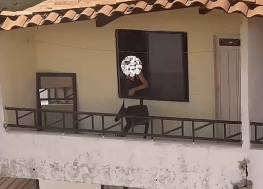 Indignación en Girardota: captan agresión a un perro