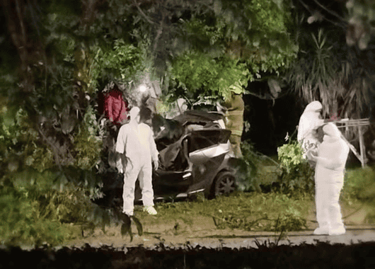 Tragedia en la Autopista Norte de Medellín: conductor muere tras violento choque contra un árbol