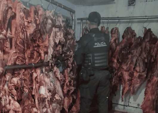 Incautan más de 3 toneladas de carne en Campo Valdés: no tenía trazabilidad ni condiciones sanitarias
