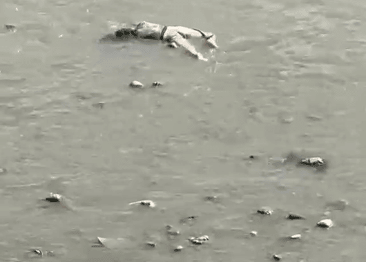 Reportan cuerpo sin vida en el río Medellín