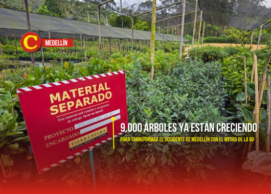 Los primeros 9.000 árboles ya crecen para transformar el occidente de Medellín con el Metro de la 80