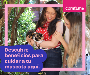 BEneficios mascotas